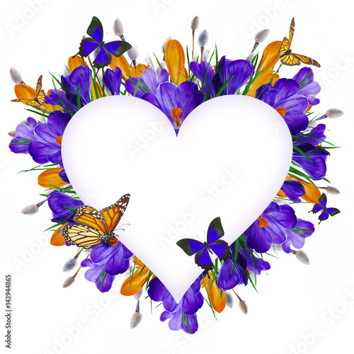 Fototapeta Naklejka Na Ścianę i Meble -  Blue and yellow crocus and snowdrops with willow. Butterflies on the background of spring flowers ..