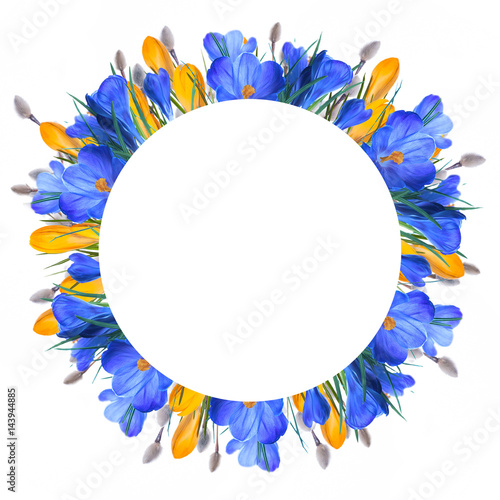 Fototapeta Naklejka Na Ścianę i Meble -  Blue and yellow crocus and snowdrops with willow. Butterflies on the background of spring flowers ..