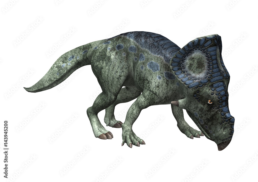 Fototapeta premium 3D Rendering Dinosaur Protoceratops on White