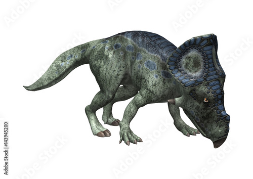 3D Rendering Dinosaur Protoceratops on White