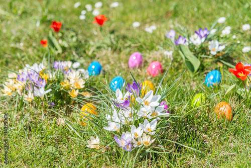Bunte Ostereier auf grünem Gras mit schönen frühlings Blumen