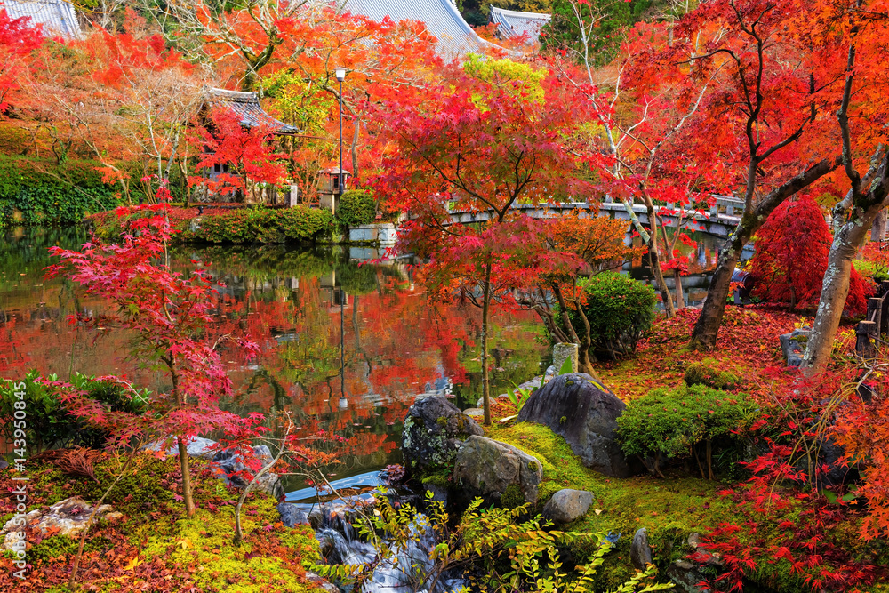 Eikando garden in autumn, Kyoto