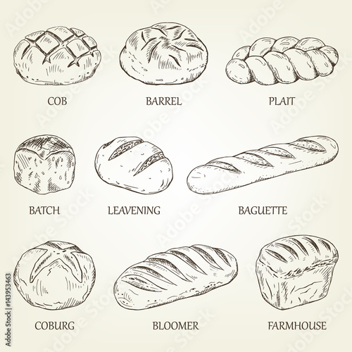 Outline set of different kinds of bread. Vector illustration with realistic pastry icons. Breads collection designed for advertising bakery, restaurant menu, logo or recipe book design.