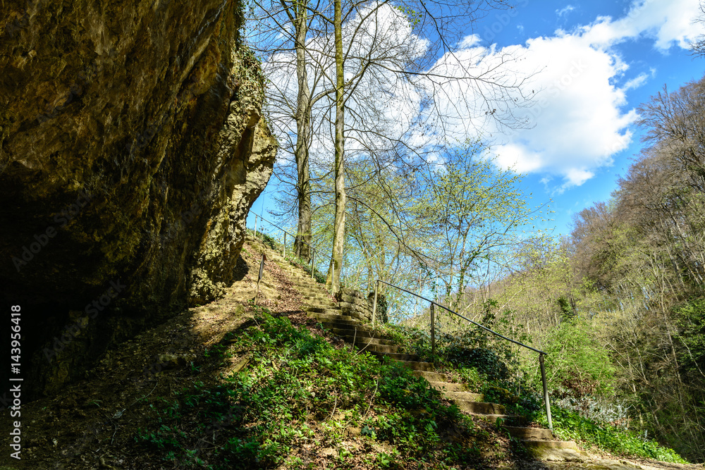 Treppe in der Natur und Wildnis im Wald im Sommer Treppe in der Natur und Wildnis im Wald im Sommer