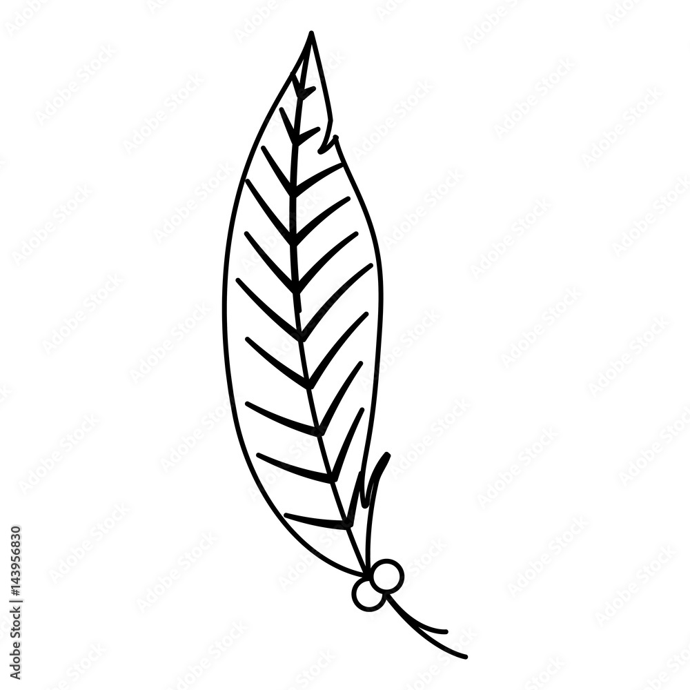 feather decorative isolated icon feather decorative isolated icon