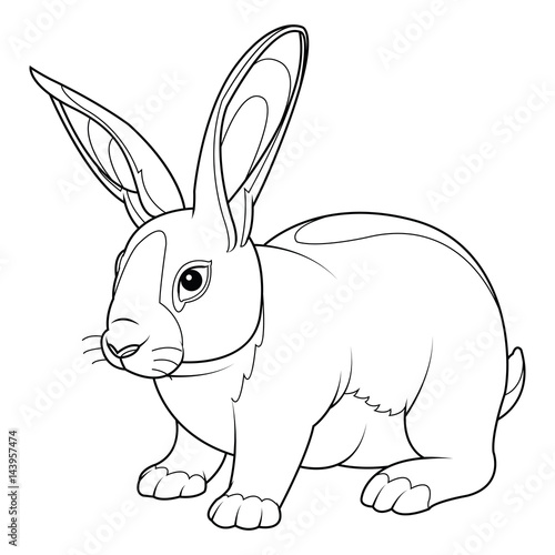 Rabbit Coloring Page