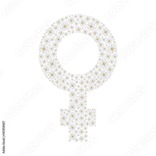 femenine symbol isolated icon