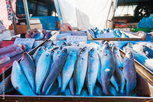 Box full of freshly caught mackerel fish. Early winter morning on Marsaxlokk market, Malta.