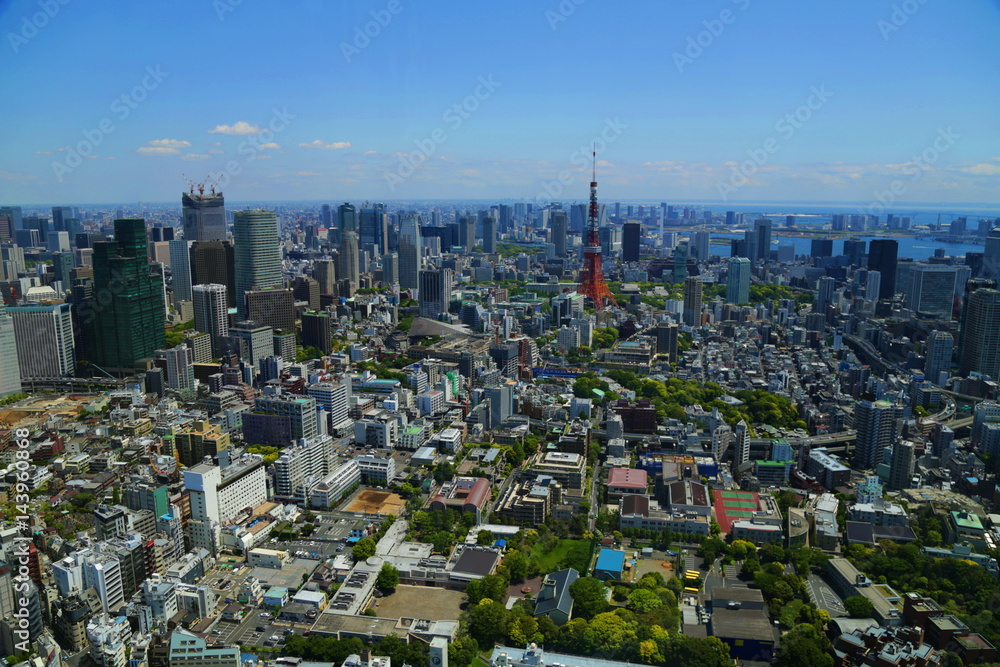 Fototapeta premium Japan