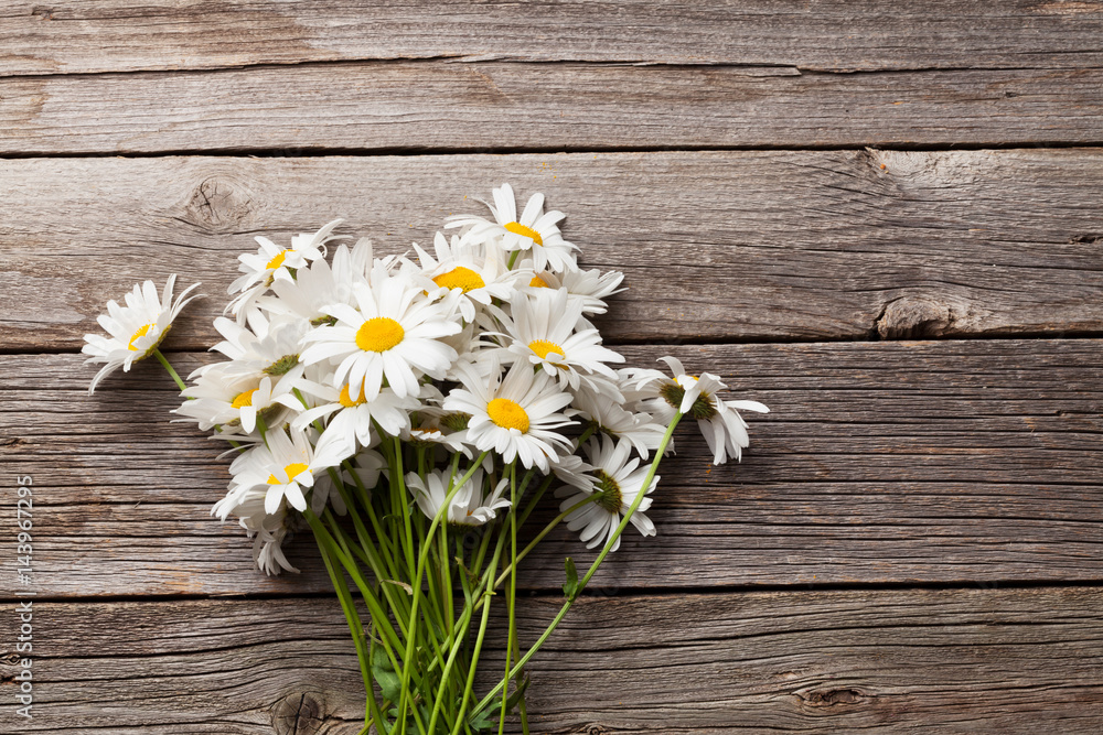 Fototapeta premium Daisy chamomile flowers bouquet