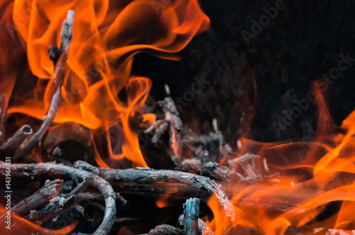 Abstract flame background: fire burning brushwood