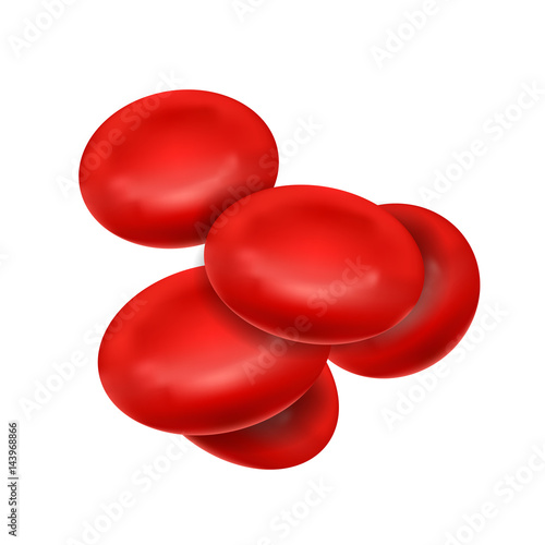 Realistic group of blood cells isolated on white background - vector medical illustration