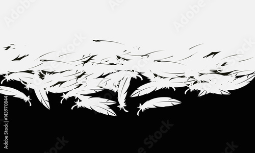feathers background elements