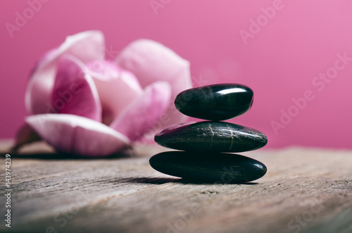 Black stone treatment. Spa and wellness concept. One pink flower on a wooden table and pink background. Lovely flowers. Festive greeting card. Pastel color. Mother´s day. Spring. 