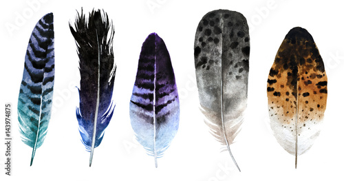 Watercolor feathers © fominox