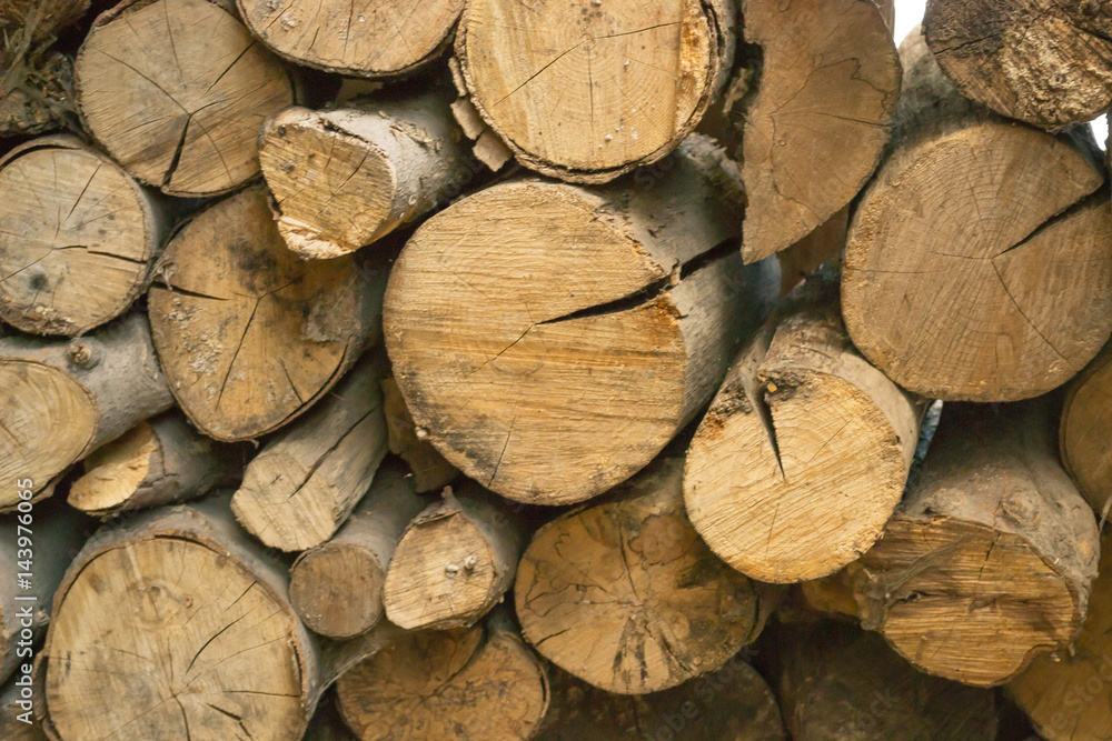 dry firewood, natural wooden background dry firewood, natural wooden background