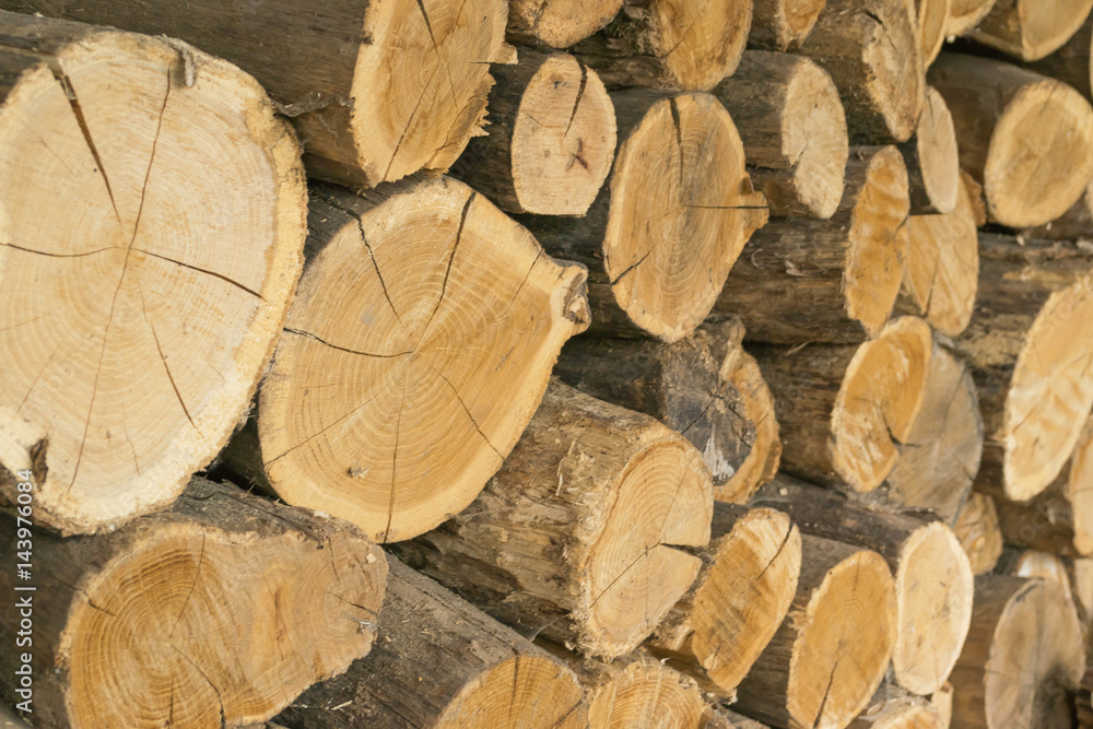 dry firewood, natural wooden background dry firewood, natural wooden background