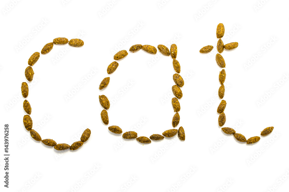On white background is written cat. On white background is written cat.