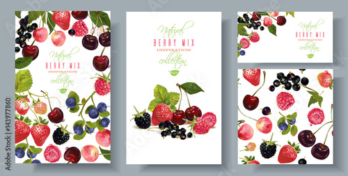 Berry mix banners set