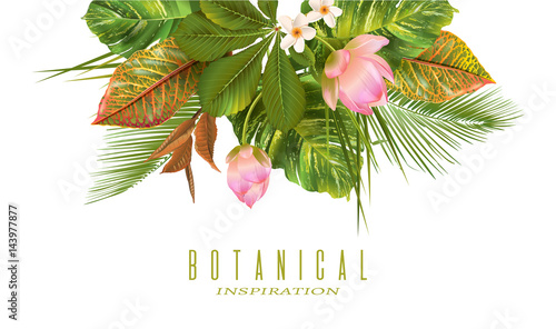 Tropical plants banner