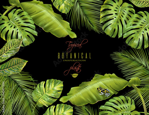 Tropical horizontal banner