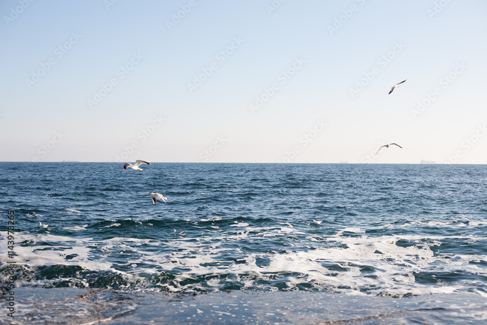 Picturesque panorama of the Black Sea Picturesque panorama of the Black Sea