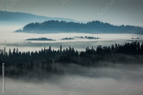 Mountains Tatra and woods in fog, Zakopane, Poland
