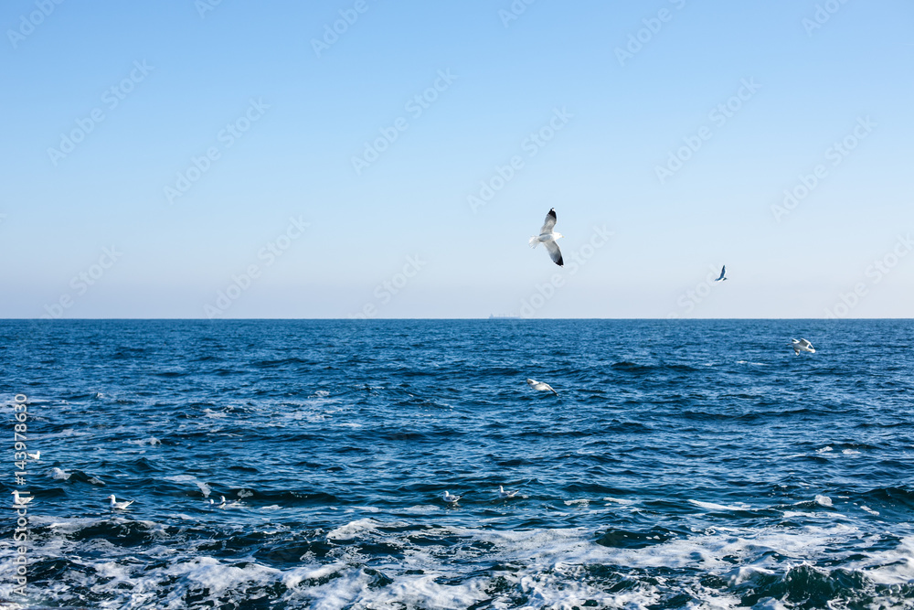 Picturesque panorama of the Black Sea Picturesque panorama of the Black Sea