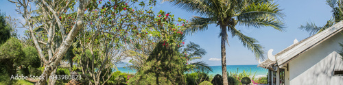panorama of tropical Asian landscape with palm trees and a view of the sea