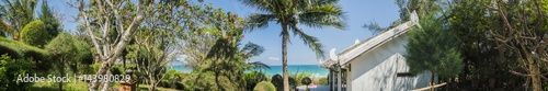 panorama of tropical Asian landscape with palm trees and a view of the sea