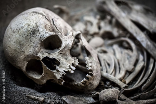 Fotografie Skeleton Dead Body Head