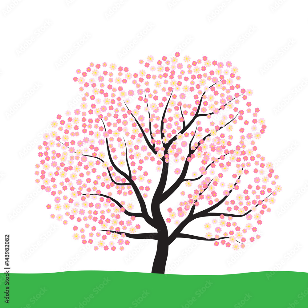 Tree with blossom Tree with blossom