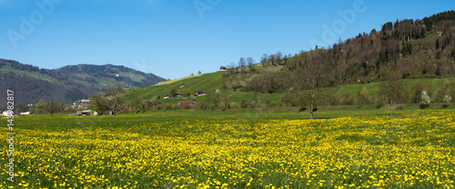 Panorama of Alps and meadow,Switzerland
