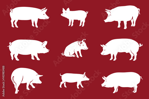 Pigs Red / Pork icon. Vector Image, pig silhouette, in Curl Tail pose, isolated on red background © 3xy