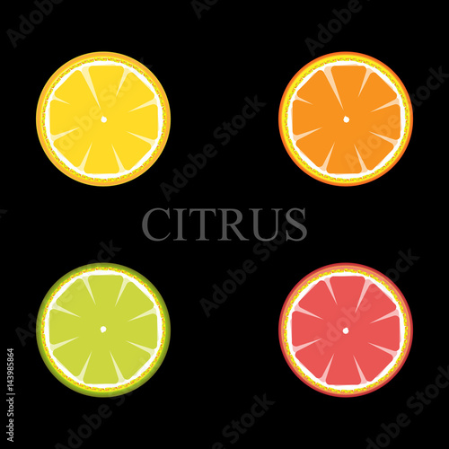 Citrus set sign pattern on black background. Juicy fruit graphic. Background design. Modern stylish abstract illustration. Template for prints decoration. Vector image.