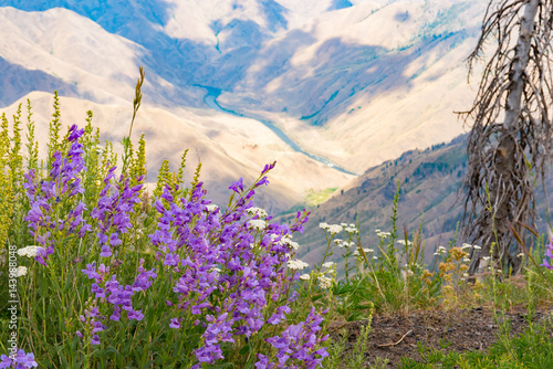 View of the Snake River in Hells Canyon from Hat Point Lookout in northeast Oregon