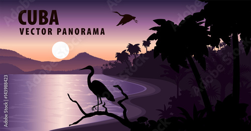 vector panorama of Cuba with beach and heron