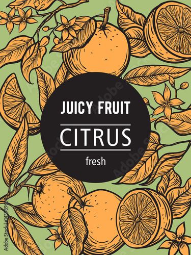 Vintage template. Ink hand drawn design with citrus fruits isolated on retro background. Vector illustration of highly detailed citrus fruits sketch