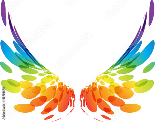 Fotografie, Obraz Pair colorful wings on white
