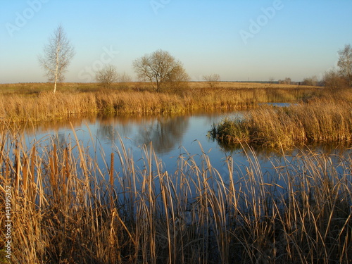 The pond and the autumn trees in Moscow region in autumn.