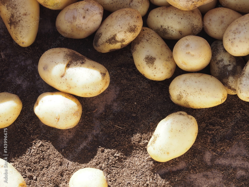 Kartoffelkiste auf Marktstand, Kartoffeln Kartoffelkiste auf Marktstand, Kartoffeln