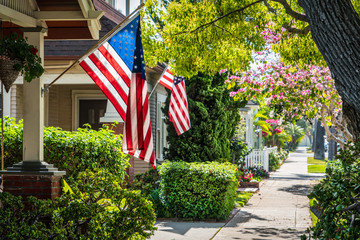 Flags 1