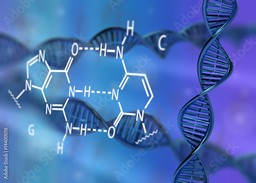 Tableau sur toile DNA molecule double helix GC base pair 3D rendering
