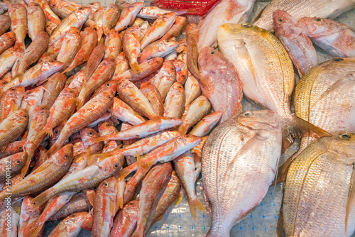 Fresh fish for sale at a market in Palermo, Sicily