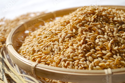 Wallpaper Mural 籾米 Torontodigital.ca