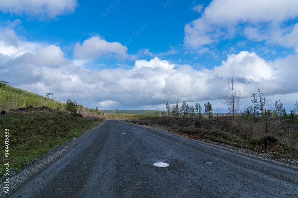 Fototapeta premium Logging Road On Mountain
