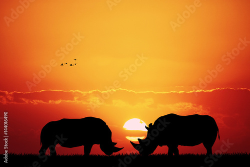 rhino at sunset © adrenalinapura