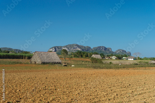 Tobacco field and drying house in Vinales  Cuba