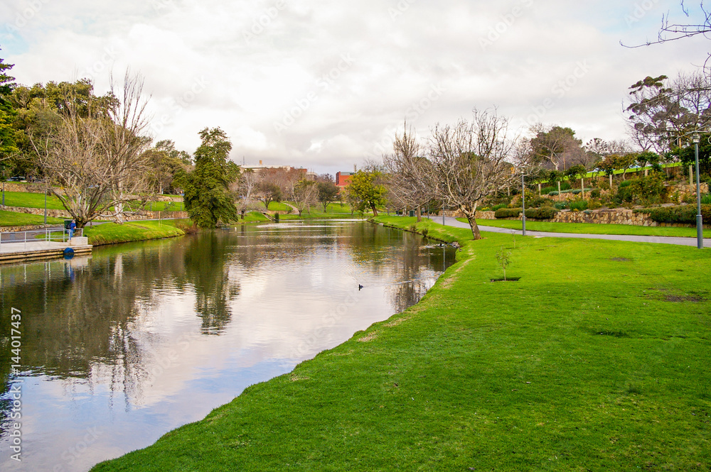 Fototapeta premium Adelaide's River Torrens on a brisk morning is a place where rowers can enjoy their sport