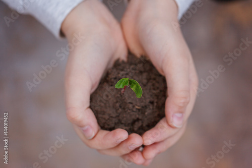 Kid holding new sprout in hands. Symbol of new life and ecology concept.